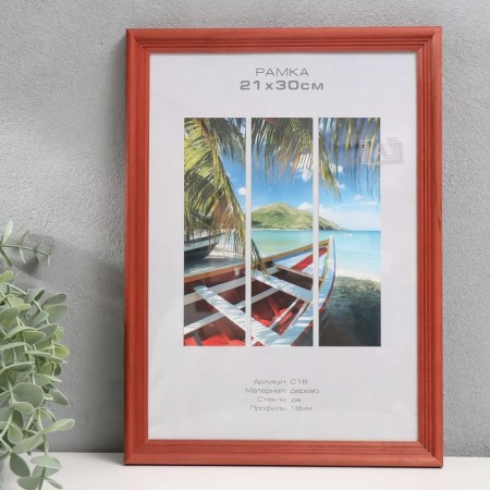 Photo frame tree "Image Art" C18 21x30 cm, (plastic screen), red tree