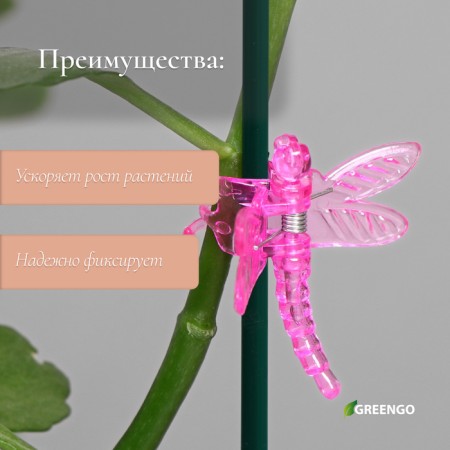 Clips for Plants "Dragonfly", set of 10 pcs., Mix, Greengo-2