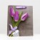 Laminated package, 26 x 32 x 12 cm