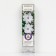 Clematis large-flowered "Fu----Tabi", 1 pc, tube, spring 2025