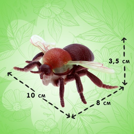 Set of insects "Forest", 5 pieces-1