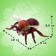 Set of insects "Forest", 5 pieces