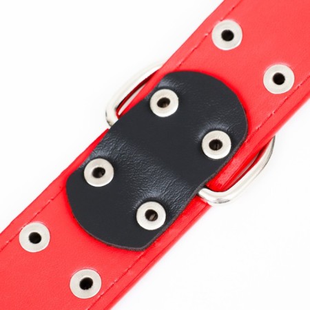 The collar of the clinker in 2 rows, 65 x 3.4 cm, Osh 50-60 cm, red-5