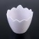Kashpo for flowers "Shell", 8 × 6.5 cm, color mix