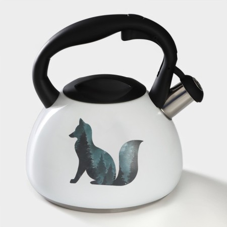 A kettle with a stainless steel whistle “Fox”, 3 l, with a heating indicator-2