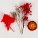 Set of dried flowers "South sunset"
