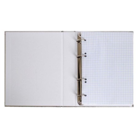 A notebook on 4 rings A5, 120 sheets in the cell "silver. Metallic", boumvinyl cover, offset unit-1