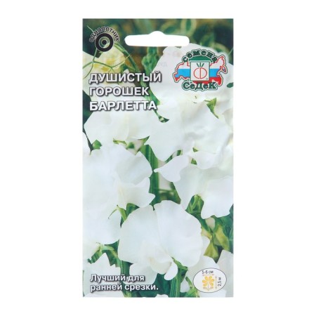 Flower seeds fragrant peas "Barletta", Euro, 1 g