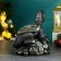 Piggy bank "Dragon on money" Black with gold, 18cm