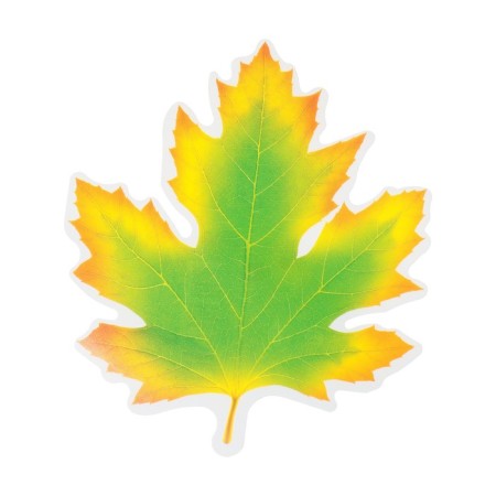 Decoration on the adhesive tape "Maple leaf" Green, yellow, 18x18 cm