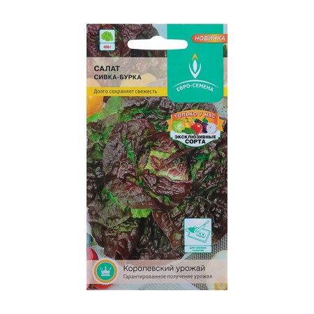 Salad Sivka-Burka Salad leaf, medium early, central/p, 0.5 g