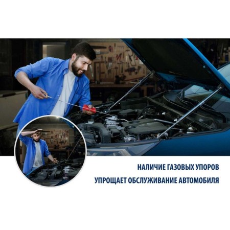 Газовые упоры капота Rival для Livan X6 Pro 2023-н.в., 2 шт, A.ST.1905.1-5