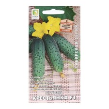 Seeds of cucumber 