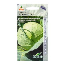 Cabbage Cabbage seeds 
