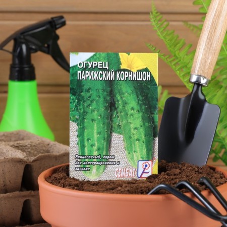 Cucumber seeds "Parisian root", 0.5 g