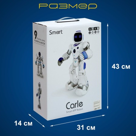 Karl robot, on the radio control, interactive, light, sound effects, works from the battery-5