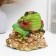 Piggy bank "Toad on money" 14x13x17cm