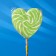 Caramel on a stick ’lolly heart two -color’ 70g green