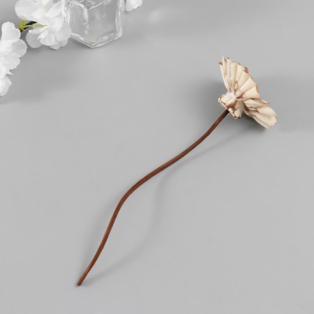 Sticks for the aromadiffusor "Lotus Flower" set 5 pcs + 2 rattan balls-1
