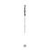 Steve Jobs. Author: Eisekson W.
