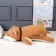 Soft toy-podushka "Dog", 60 cm, brown color