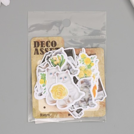 Stickers for creativity "Cats, yellow flowers and photos" 3.5x5 cm set 40 pcs 9.4x8.4x0.5 cm-4