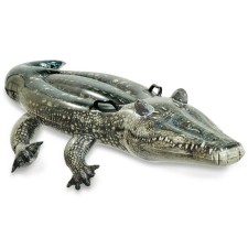 Toy for swimming 