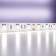 MAYTONI LED tape, 12V, IP20, 5050, 14.4W/m, 6000K, 5 m, monochrome glow