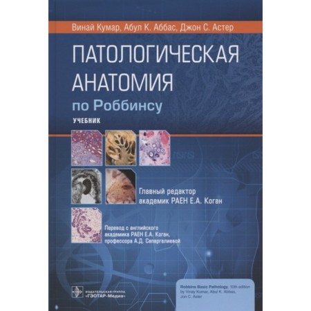 Pathological anatomy in Robbins. Kumar wine