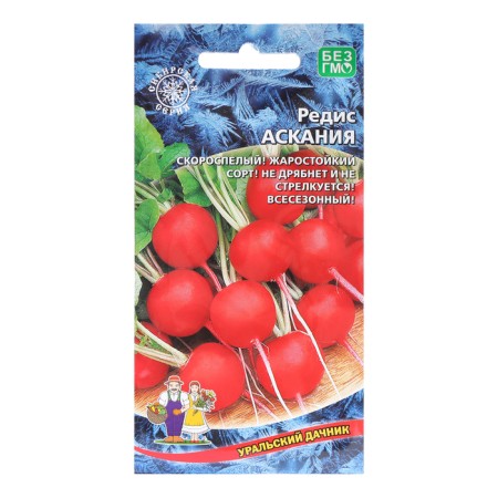 Seeds Radi "Ascania", 2 g