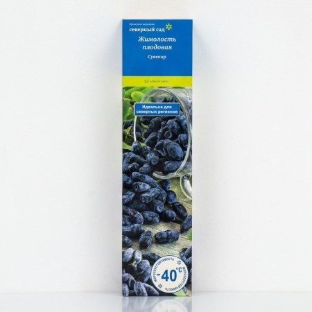 Edible honeysuckle (Northern Garden series) "Souvenir", 1 pc, tube, spring 2024