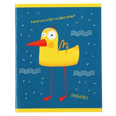 Notebook of 48 sheets in the “Ducks” cage, cover of chrome-erzatz, block No. 2 (gray sheets), mix 5 types-6