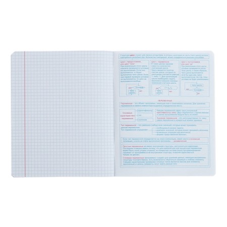 A notebook “Hints”, 48 sheets in a cage, “Informatics”, coated cardboard, matte lamination, Touch varnish, Offset block-6