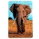 Puzzle series Fantasy "Elephant", 54 details, size - 28 × 18.5 cm
