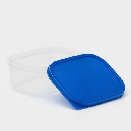 Container shade 500 ml, blue color-1