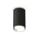 Ambrella Light overhead lamp, XS6323003, MR16 GU5.3 LED 10 watts, black sand, silver
