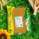 Seeds mustard, 1 kg