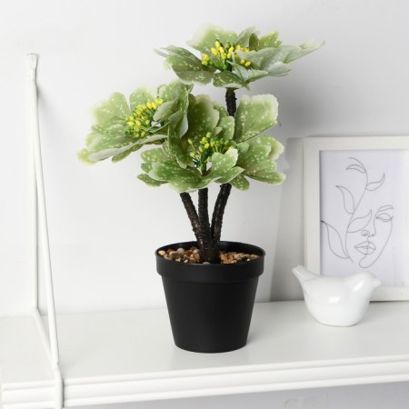 Bonsai in the Veigel pot 10x23 cm, mix