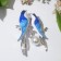 Brooch "Birds" Swifts, white-blue color in silver