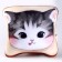 Antistress Pillow "Cat-Clay"
