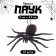 Fun "Spider"