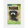 Raccoon Puzzle, 500 elements