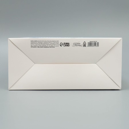 Folding box "Snow New Year", ice rink, 22 x 30 x 10 cm, new year-5