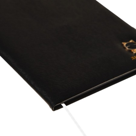 Universal diary for grade 1-11 Kitty, solid cover, artificial leather, foam, embossing foil, liesse, 80 g/m2-2