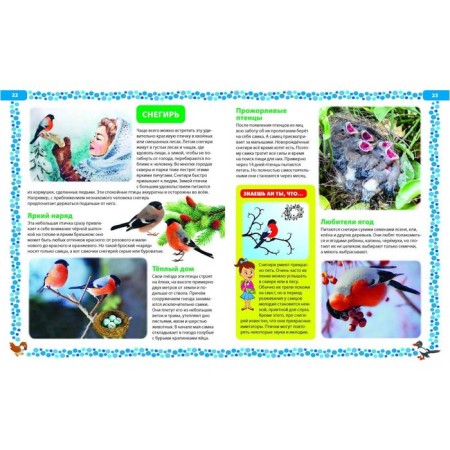 Big book about birds. Illustrated encyclopedia-5