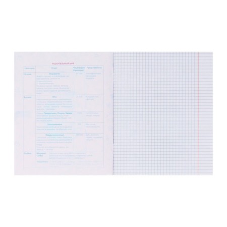 A set of subject notebooks of 46 sheets, 12 objects "Red chic" coated cardboard, 3D foil, in film-18
