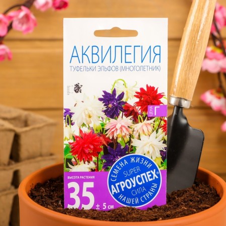 Flowers Aquilegia "Elves shoes", 0.1 g-3