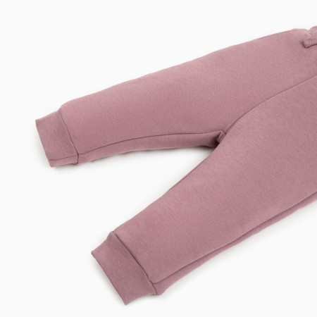 Costume: sweatshirt and pants crumb I Flower, height 86-92 cm, lilac-6