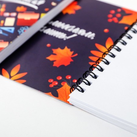 Double notebook on the crest "Teacher's notebook", 48 sheets-4