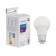 LED LED Philips Ecohome Bulb 840, E27, 9 W, 4000 K, 720 lm, pear